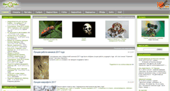 Desktop Screenshot of macroclub.ru